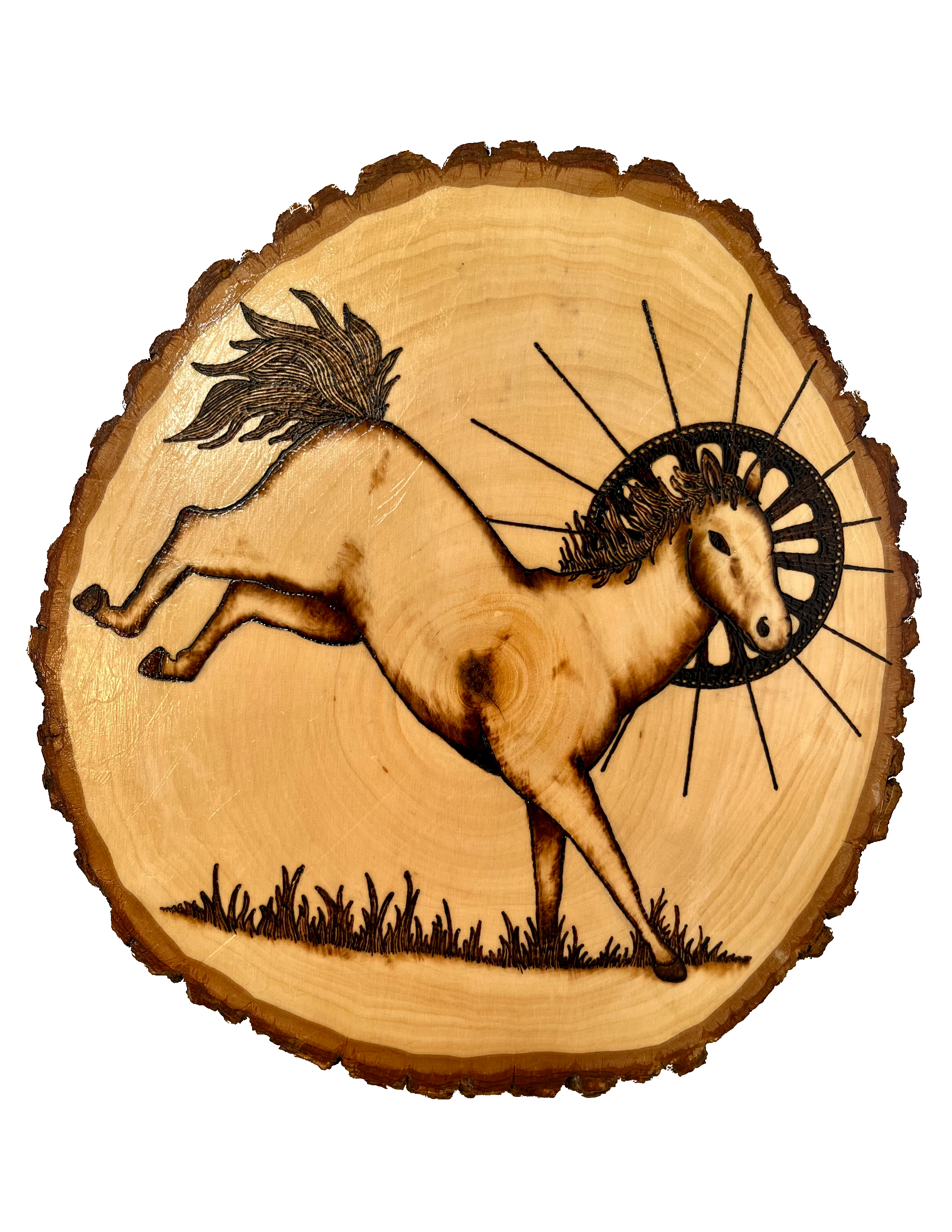 Horse Wood Burn