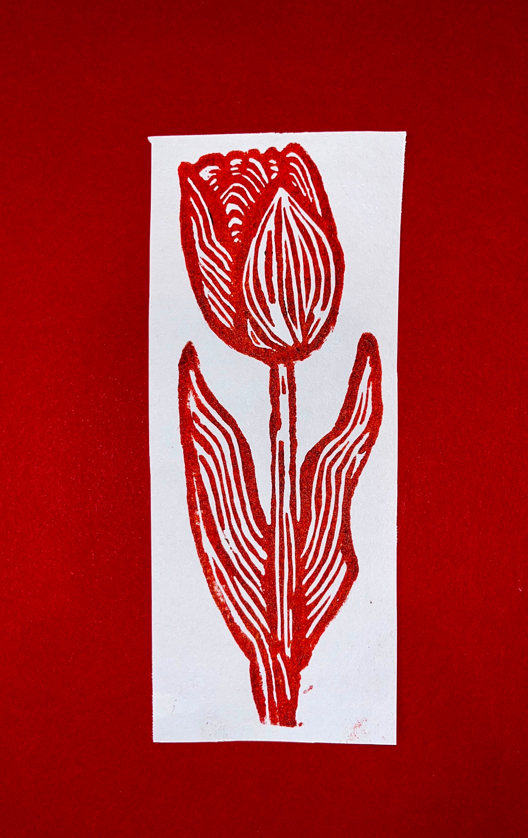 Tulip Print